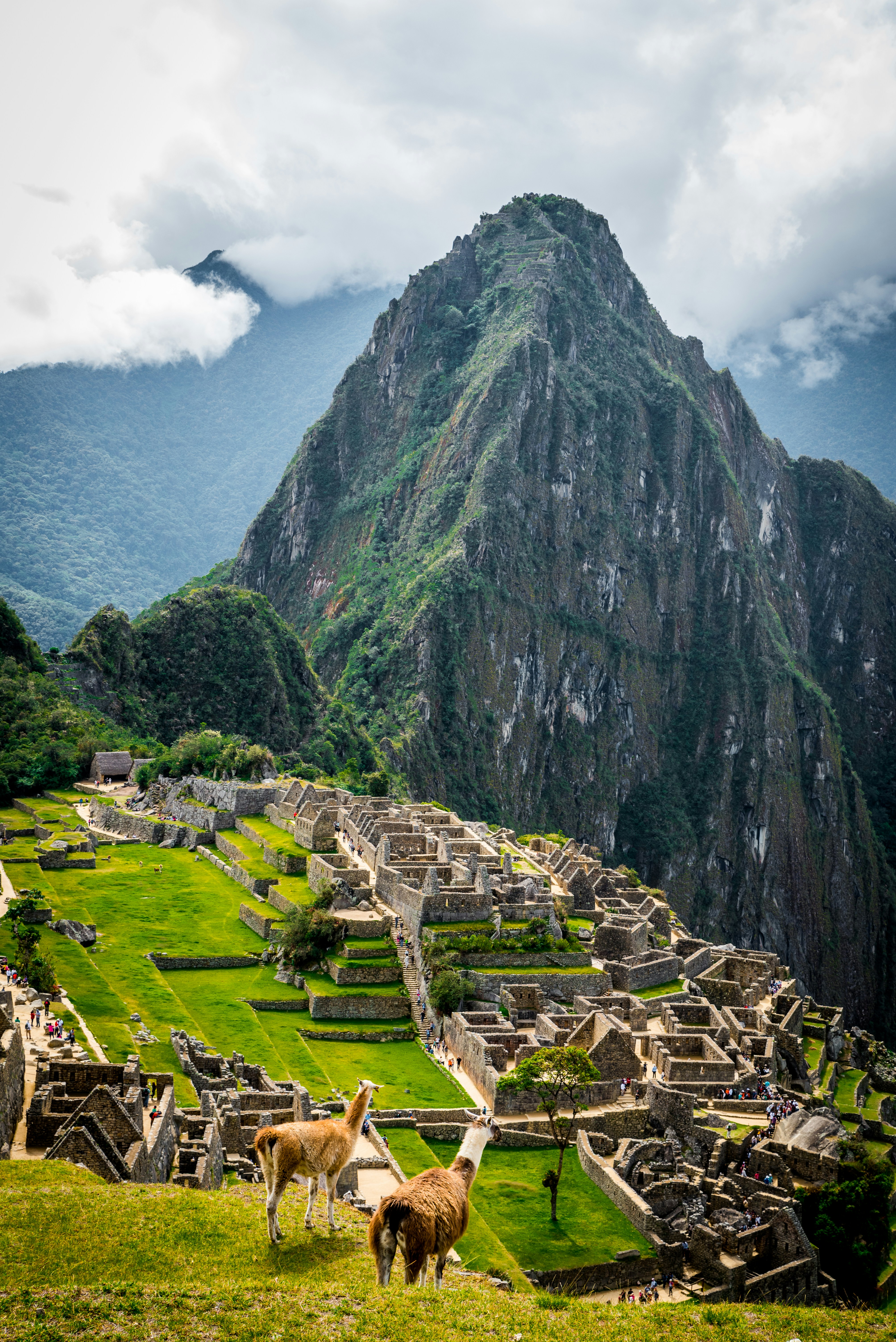 Vista de Machu Picchu