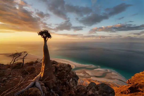 Montañas exóticas de Socotra en Yemen
